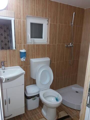 Фото номера Двухместный номер с 1 кроватью и собственной ванной комнатой Лоджи Casa Alex г. Гырда-де-Сус 11