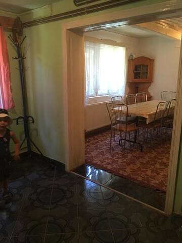 Фото номера Двухместный номер с 1 кроватью Гостевой дом Cabana Felyviss г. Гырда-де-Сус 4