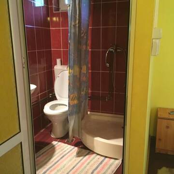 Фото номера Двухместный номер с 1 кроватью Гостевой дом Cabana Felyviss г. Гырда-де-Сус 8