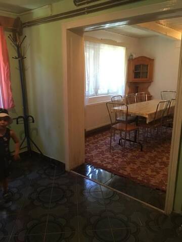 Фото номера Двухместный номер с 1 кроватью Гостевой дом Cabana Felyviss г. Гырда-де-Сус 14